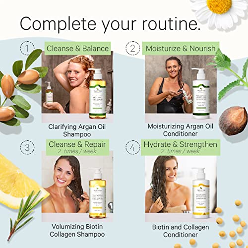 Tree To Tub Peppermint Shampoo For Oily Hair & Sensitive Scalp - Gentle Clarifying Shampoo For Build Up, Sulfate Free Residue Free Hair Shampoo For Women & Men W/Organic Argan Oil, Natural Aloe Vera #TOP4