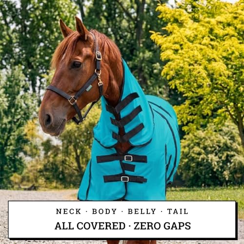 Image of Horse Fly Sheet with Attached Neck Cover & Tail Flap | UV Protection Mesh Horse Blanket, Full Body Bug & Sun Shield, Buckles, Belly Wrap & Gussets for Spring Summer Riding Rug (Teal, 74 inch)