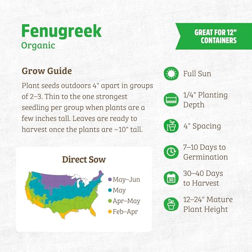 Back to The Roots 100% Organic Heirloom Seeds - Fenugreek Gardening Seeds Value Pack (2g Total) - Image 3