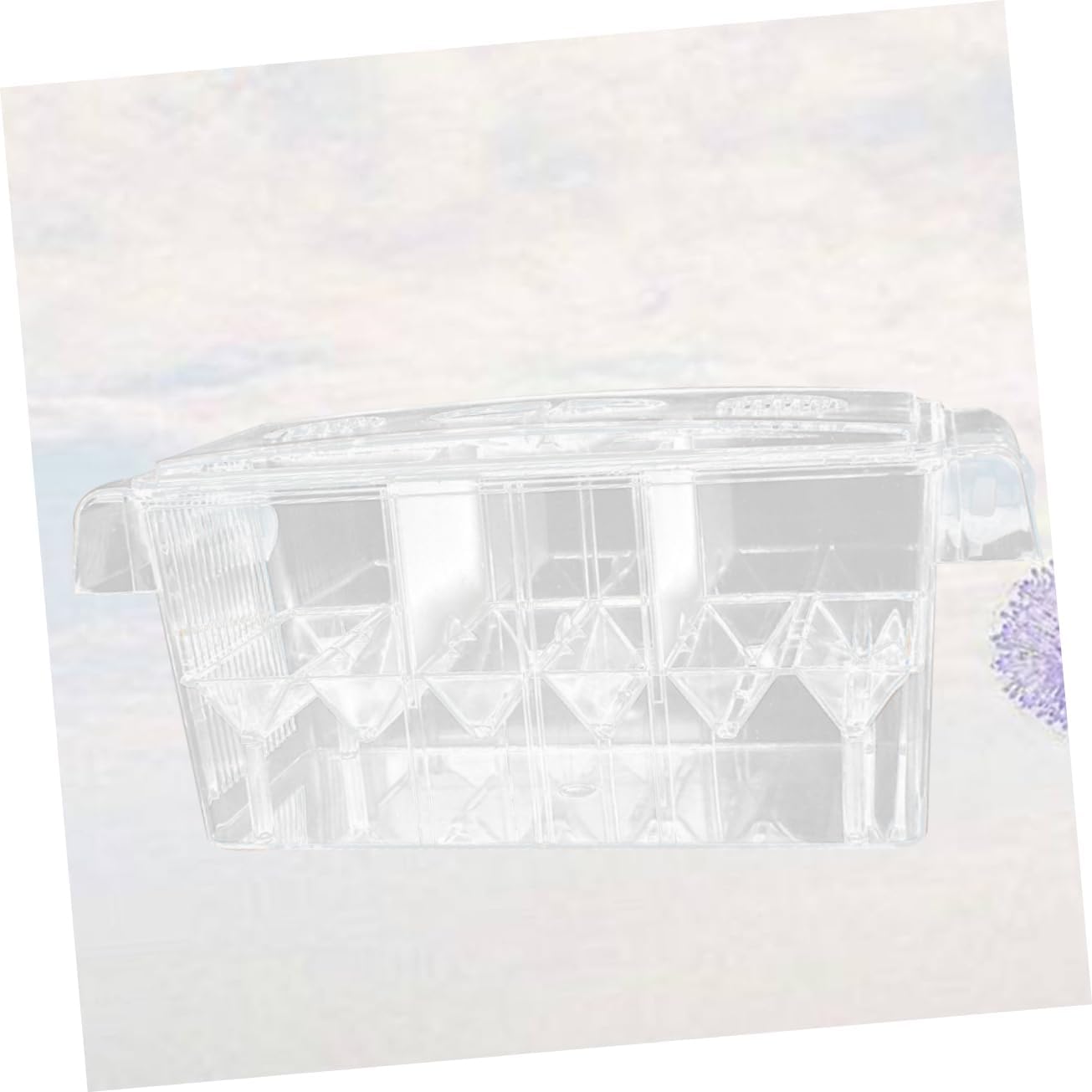 COLLBATH Cup Fish Breeding Isolation Box Transparent Acrylic Hatching Tank for Betta Newborns Setup Safe Space for Sick Fish