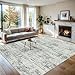 8x10 Area Rugs for Living Room - Washable Rug Modern Abstract Soft Large Neutral Non-Slip Carpet Indoor Floor Stain Resistant Thin Carpets for Bedroom Dining Room Farmhouse Nursery Home Office Grey