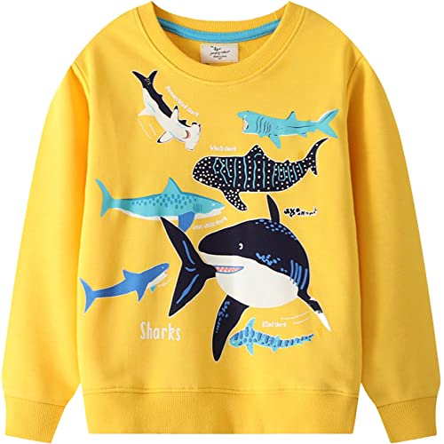 Image of Akyzic Toddler Boys Sweatshirts Cotton Crewneck Truck Shirt Dinosaur Long Sleeve Pullover Tops Tees 2-8T