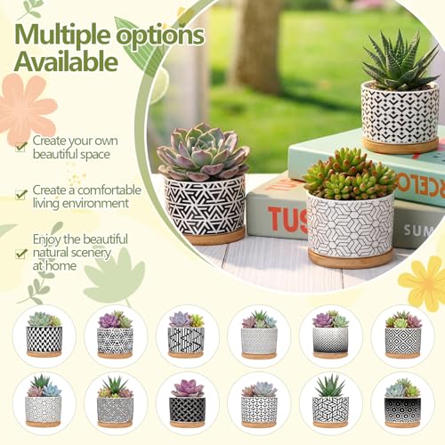Threehoney 12 Pack 3.14 Inch Ceramic Succulent Pots Geometric Pattern Small Succulent Plant Pots with Drainage Hole and Bamboo Trays Mini Flower Cylinder Pot for Small Plant Cactus Home Office Decor by Threehoney - Image 3