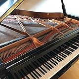  Das Fliegende Klassenzimmer (Piano Instrumental version)