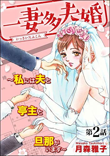 一妻多夫婚 ~私には夫と亭主と旦那がいます~(分冊版) 【第2話】 (ストーリーな女たち)