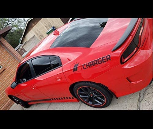 Fuel Door Hash Marks Vinyl Decal Body Graphics | Charger #TOP5