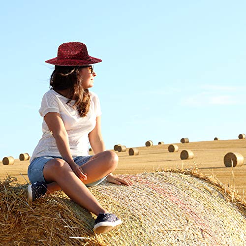 12 Pieces - Straw Cowboy Hat for Men & Women - Cowboy Party Favor Supplies - Assorted Colors