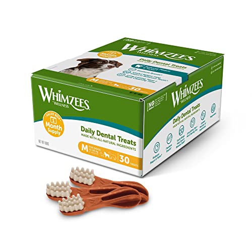 WHIMZEES By Wellness Toothbrush, Month Box, Natural and Grain-Free Dog Chews, Dog Dental Sticks for Medium Breeds, 30 Pieces (One Month Supply), Size M - Image 3