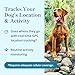 Petivity Smart GPS and Activity Pet Tracker for Dogs Powered by Purina, Waterproof Real Time Tracking GPS Dog Collar, Downloadable App, Subscription Required