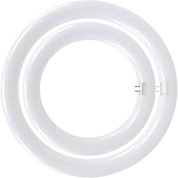Amazon | LED蛍光灯 丸型蛍光灯 30形+32形セット グロー器具用 昼光色 Amazon | LED蛍光灯 丸型蛍光灯 30形+32形セット グロー器具用 昼光色