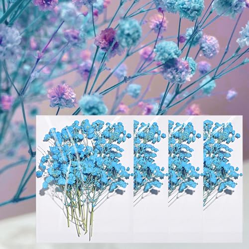 Flores Secas Naturales Azul Para Manualidades 96pz miniatura 1