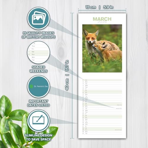 Schmaler Wandkalender 2026 von British Wildlife – Weihnachtsgeschenke für Männer – Monatsansicht für Naturliebhaber