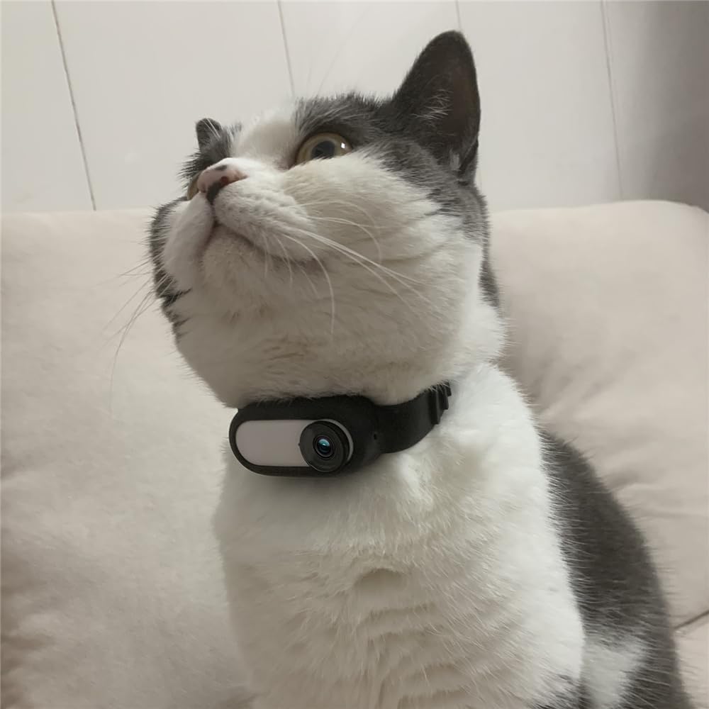 2026 Katzen Kamera Halsband, 170 Weitwinkel Tracking Katzen Kamera, Cat Camera Collar Für Katzen USB-Ladekabel Einstellbares PET-Kamerahalsband Für Hunde Und Katzen (schwarz)