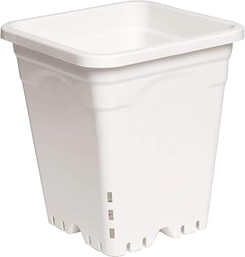 Active Aqua HG9X9SW 9"x9" White, 10" Tall, Pack of 24 Square Pot, 9" X 9"