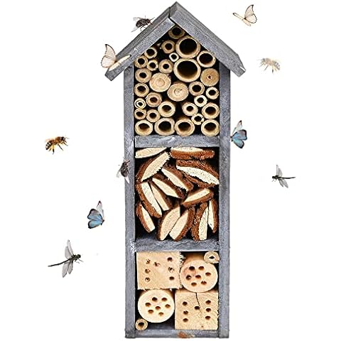 ASAB Insect Hotel for Solitary Insects Cover