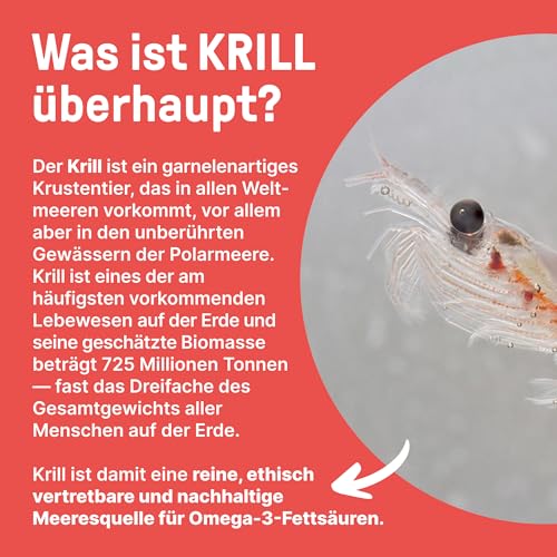 Krillöl Kapseln – BRAINEFFECT Premium Omega 3 mit Astaxanthin, EPA & DHA – Ansicht 4