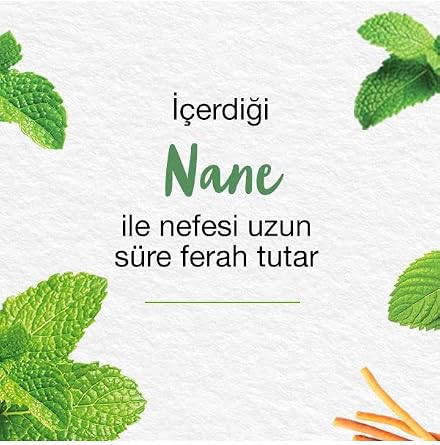 Himalaya Since 1930 Nane Ferahlığı Bitkisel Diş Macunu, Florürsüz, Parabensiz, Vejeteryan, Ferah Nefes, 75 ml