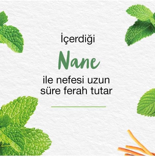 Himalaya Since 1930 Nane Ferahlığı Bitkisel Diş Macunu, Florürsüz, Parabensiz, Vejeteryan, Ferah Nefes, 75 ml