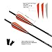 REEGOX Crossbow Bolts 20 inch Bio Crossbow Arrows with 4-Inch Vanes(Pack of 12)