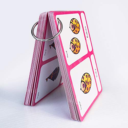 Richardy 70 Groups Singular And Plural Nouns Flashcards Pocket Card Building Vocabulary Homeschool Kindergarten Supplies #TOP6