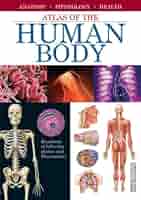 洋書 Body Atlas (Vietnamese book) 洋書 Body Atlas (Vietnamese book) Atlas of Human Anatomy