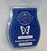 Blueberry Rush Scentsy Bar Wickless Candle Tart Warmer Wax 3.2 Fl Oz, 8 Squares