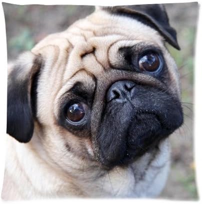 Sharefashion Christmas Snowman Custom Zippered (Two sides) Pillowcase Pillow Cover (Pug Dog(18*18inc)), Multi, 23 x 7 cm (Pack of 1)