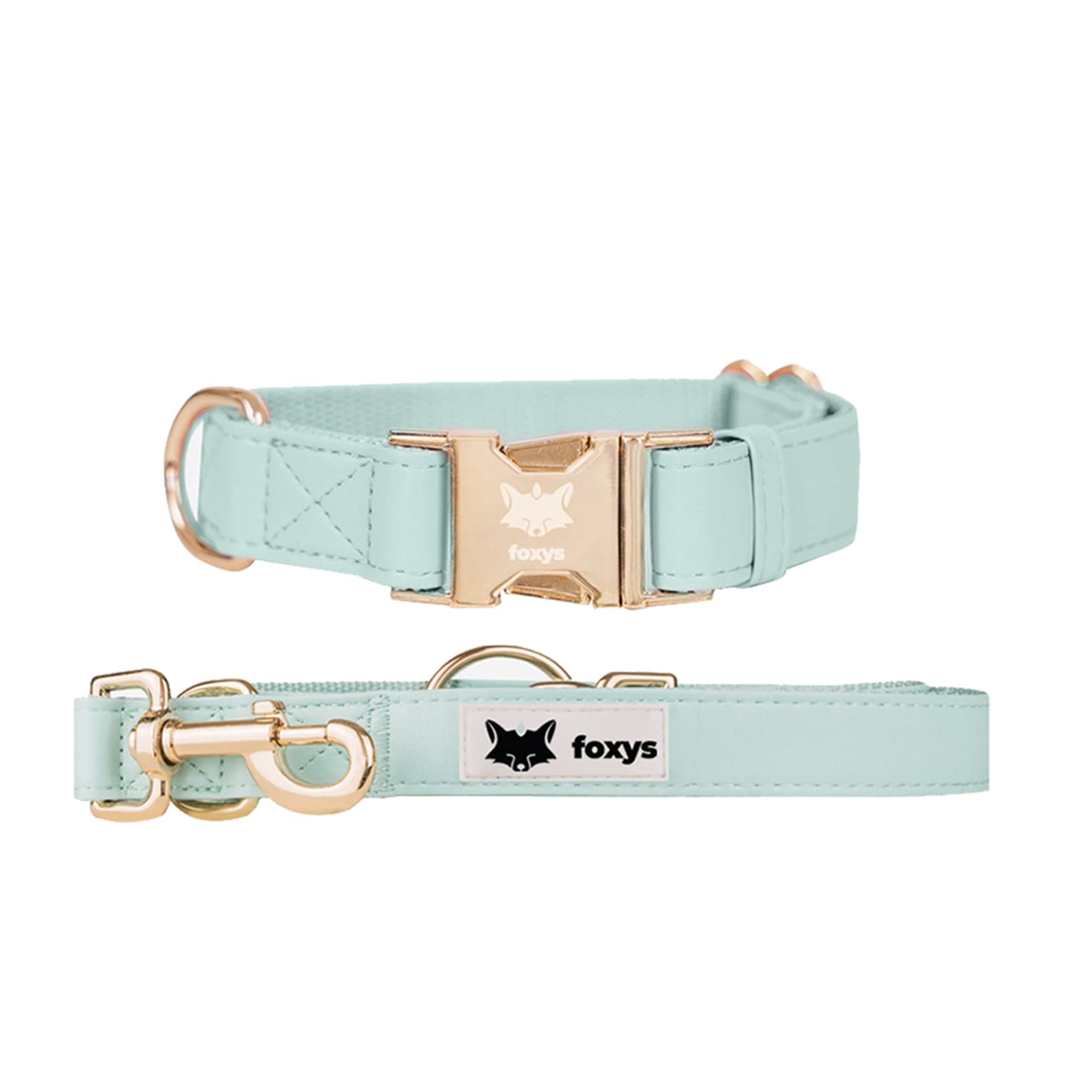 CityFox Set Collar y Correa de Perro a Juego | Elegante y Ajustable | Fácil de Limpiar y Resistente | Aqua | Talla S 30-42cm | Conjunto Foxys