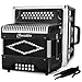 Accordion - 31 Key Diatonic, 12 Bass Buttons (G/C/F Tuning), Push-Pull Isochord Design, Beginner-Friendly Adult Set with Case, Gloves & Cleaning Wipes (Black)