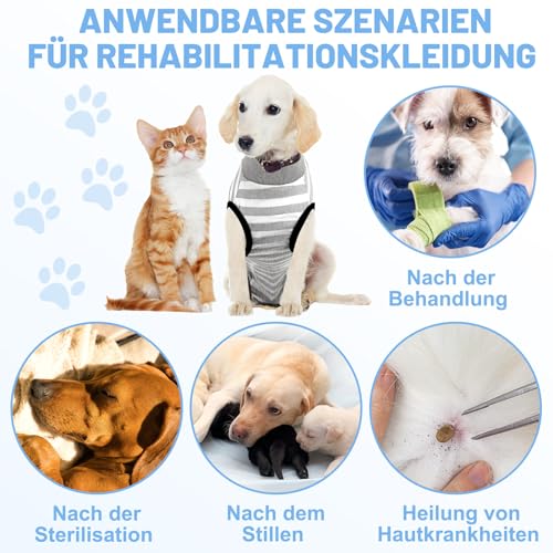 patinadrift Hundebody Nach Op Hunde Body Operation Hündin Rüde Hundebody Wundschutz Erholungsanzug für Hund Body Kastration Hund nach der Operation Kegel-Alternative(Grey,S)