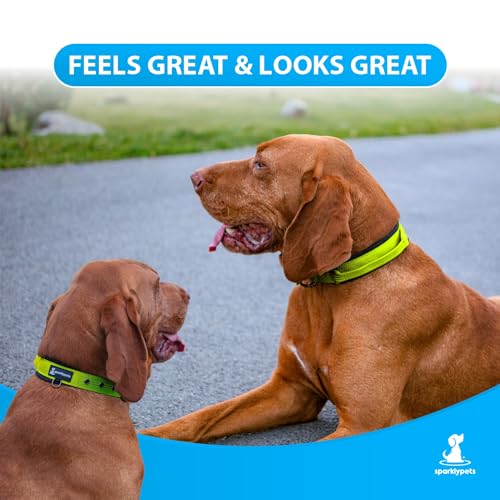 SparklyPets Heavy Duty Dog Collar with Handle for Medium and Large Dogs – Professional Collar with Reflective Stitches, Soft Handle & Nickel-Plated Buckle (Medium (14,5\"~18,5\"), Green) - Thumbnail 3