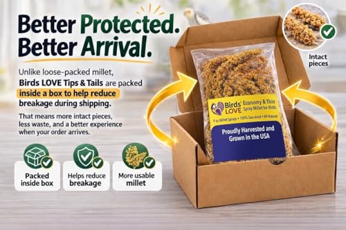 9 oz Spray Millet for Birds – GMO-Free, No Stems (Only Edible Tops) – 100% Natural Sun-Dried Foraging Treat for Cockatiels, Lovebirds, Parakeets, Finches & Canaries - Image 2