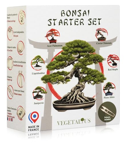 VEGETALIUS - Complete kit of 6 Bonsai with Seeds & Accessories - Made in France - an Original Gift idea for Men and Women for Your Home or Garden