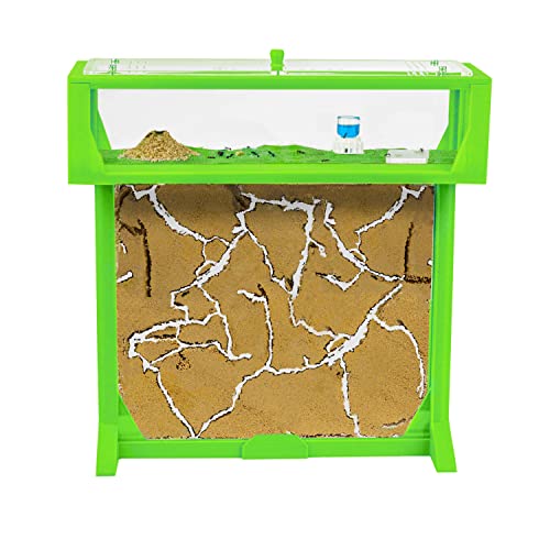 AntHouse - Fourmilière de Sable Naturel | T Set 3D Grand 25x20x1,5 cm Vert | Y Compris Les Fourmis