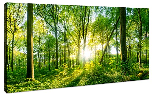 Jufengart Green Forest Canvas Wall Art Decor Tree Filled Print Photograph Large Decorative Painting For Living Room Kitchen Bedroom Office Modern Home Artwork 20 Inches X 40 Inches #TOP27