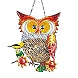 Collections Etc Owl on Branch Metal Hanging Wild Bird Feeder