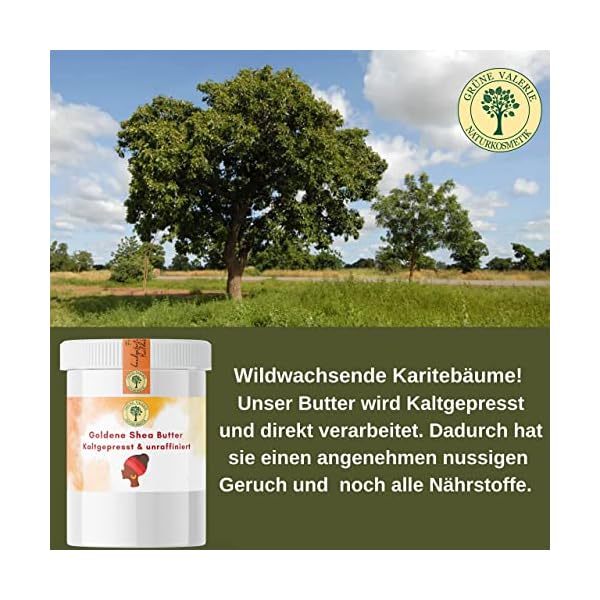 Goldene unrafinierte Shea Butter von Grüne Valerie | 500g Grade A+ | kaltgepresst, enthält alle Nährstoffe! | 100… – Bild 6