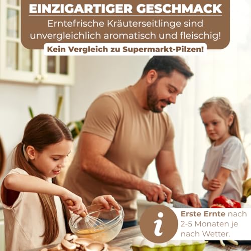 Foto von Hawlik Pilzbrut - Kräuterseitlinge auf Stroh züchten - frische Pilze einfach züchten - 20 Pilzdübel mit Mycel geimpft - Kräuterseitlinge selbst züchten