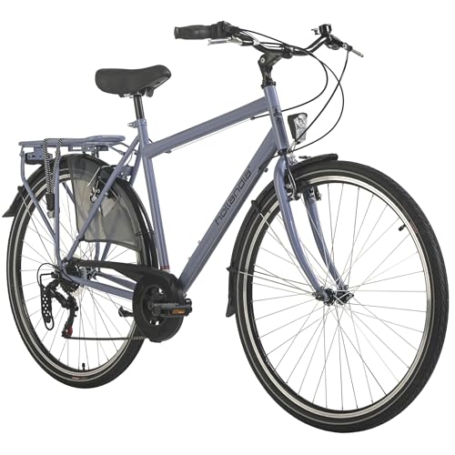 HOLLANDIA Hollandrad Herren 28 City Next Blau RH 56 cm 6 Gänge