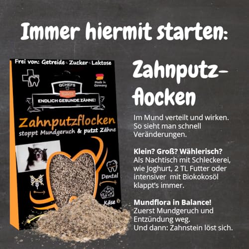 QCHEFS Snackbox Neu: Zahnputzflocken gegen Zahnstein- mit Zahnputzleckerli Zähne geputzt