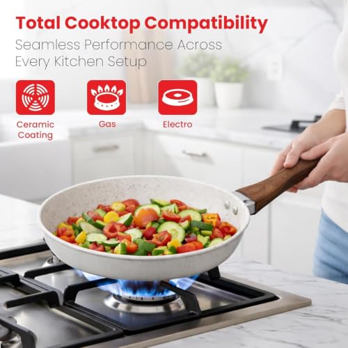 Image of Rioware Non-Stick Maifan Frying Pan (3L) | 5-Layer Non-Stick Coating | Induction, Ceramic, Electric & Gas Compatible | Dishwasher Safe |Multipurpose Pan for Eggs, Stir-Fry (24CM, Maifan Frypan White)