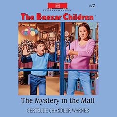 Couverture de The Mystery in the Mall