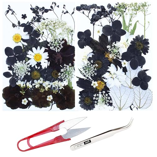 Cayway 2 Pack Dried Pressed Flowers for Resin Molds Black Real Pressed Flowers Dry Leaves Kit Natural Dried Pressed Leaves for Art Crafts Resin Scrapbook Supplies Soap Candle DIY