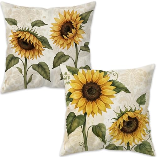 Puacino Ђ܂ Jo[ 18x18C` 2Zbg fpȃt@[nEX X[NbVP[XAʉԕJo[ JE`\t@xbhp