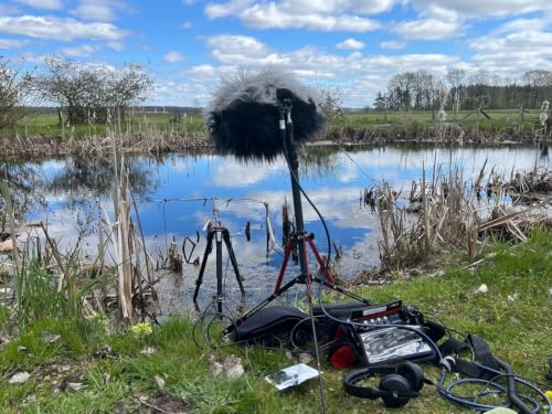 Nature Tripping Episode 33 - Listening to Dobarz