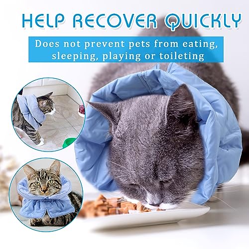Image of Adjustable Recovery Collar - Lightweight, Waterproof & Soft for Cats & Dogs - Prevents Licking Wounds (S)
