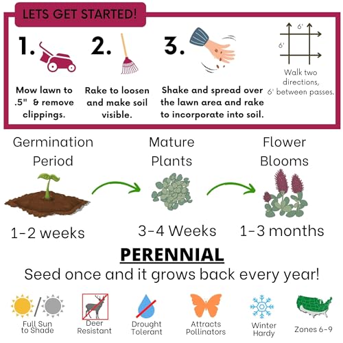 Flawn Seed Crimson Clover Seed, Eco/Pollinator Friendly, Low Maintenance, Grass Alternative, Easy Open, Compostable Kraft Pouch, Easy Spread up to 1,000 SqFt