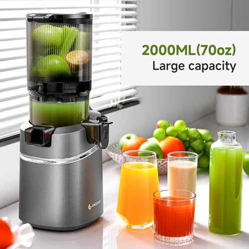 AMZCHEF Automatic Cold Press Juicer Machines 250W - 145MM Opening and 2L Capacity Slow Juicers for Whole Fruits and Vegetables, Bright Grey - Image 9