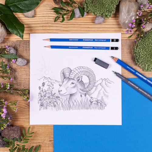 Image of STAEDTLER Mars Lumograph 13pc Drawing Pencils & Eraser Set: 12 Hardness Grades 8B-2H, Mars Plastic Eraser, Pre-sharpened, Art Supplies for Drawing, Shading, Drafting & Illustrating, All Skill Levels