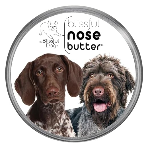 The Blissful Dog German Shorthaired Pointer Nose Butter for Dry, Cracked Skin, Lick-Safe Dog Nose Balm with Moisturizing Shea Butter, Almond, Olive, and Essential Oils, Pet Supplies, Uncented, 1 oz.